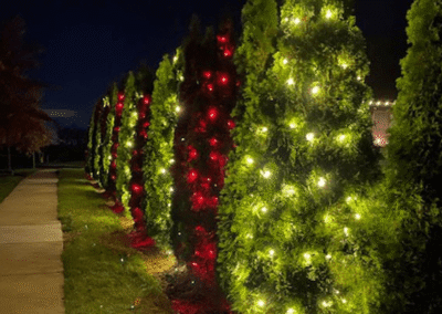residential christmas lights tree view